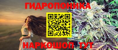 спиды Краснознаменск