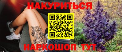 тгк Краснодар
